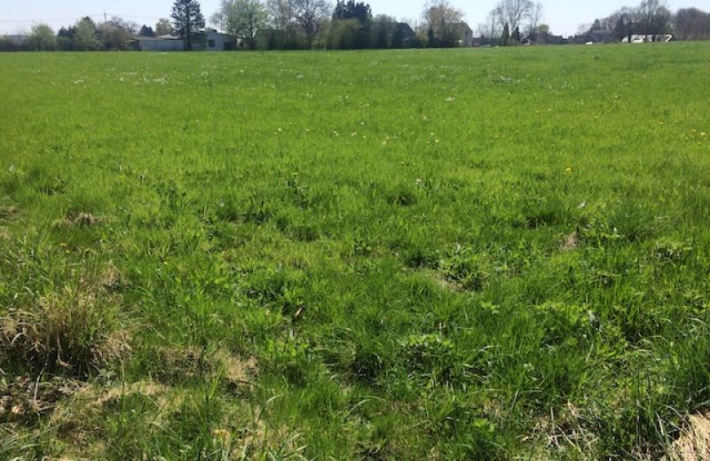 Kadra - Urbanisation d’un magnifique terrain à Sprimont-Lincé - 2