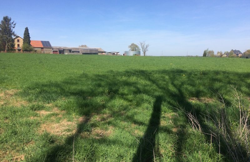 Kadra - Urbanisation d’un magnifique terrain à Sprimont-Lincé - 3