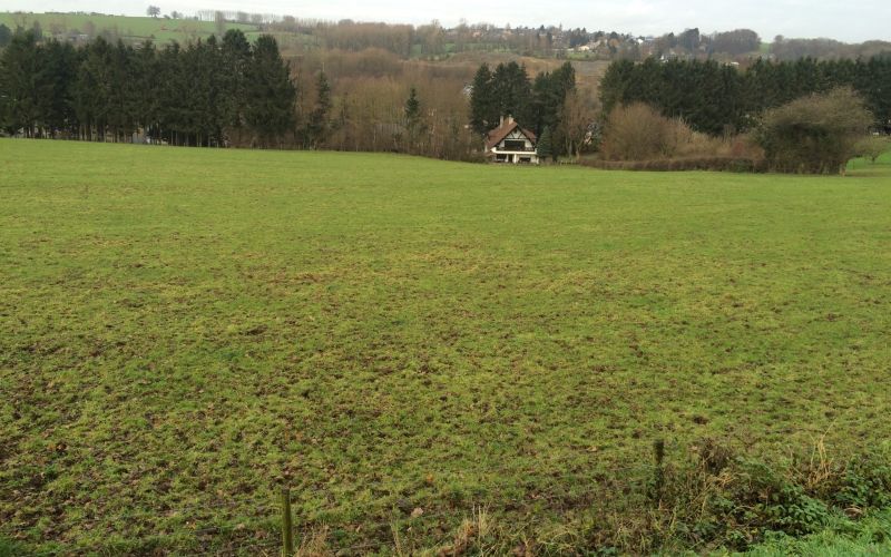 Kadra - Projet d'urbanisation à Lille (Sprimont) - 2