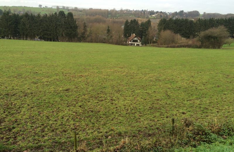 Projet d'urbanisation à Lille (Sprimont) - 1