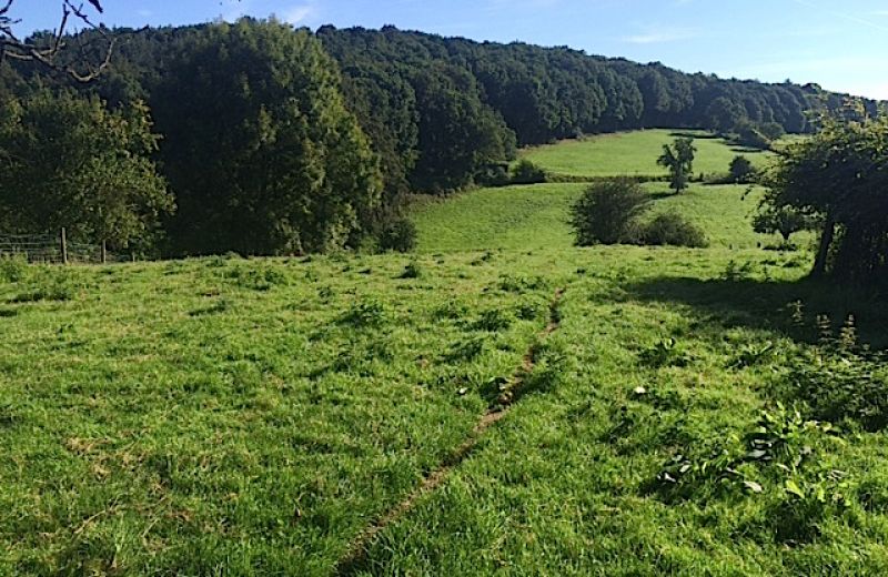 Propriété à valoriser à Sprimont - 12