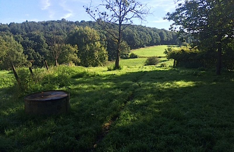 Propriété à valoriser à Sprimont - 13