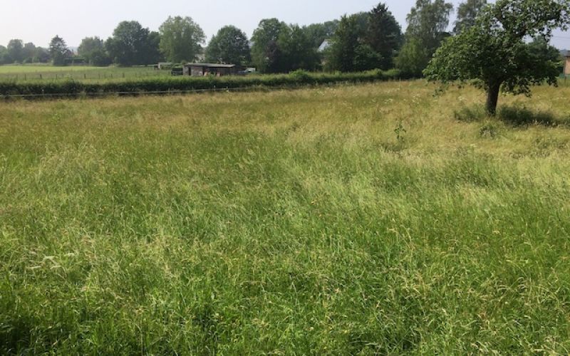 Kadra - Urbanisation d'un magnifique terrain à Louveigné - 1