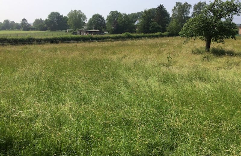 Urbanisation d’un magnifique terrain à Louveigné - 1