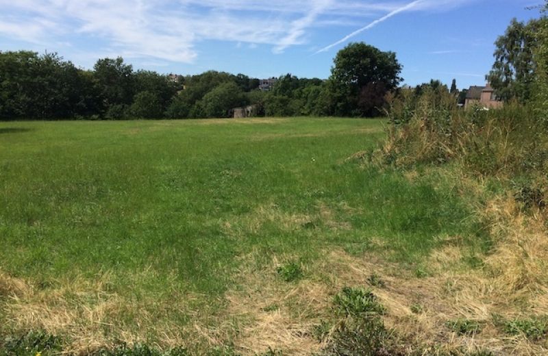 Urbanisation d'un terrain à Romsée - 2